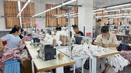 精彩回顧 | 仙桃2023年第二季度項目拉練 針紡織品銷售新動能